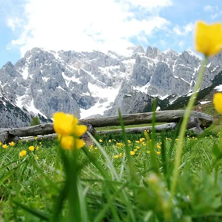 Anni Gasthuis Wagrain