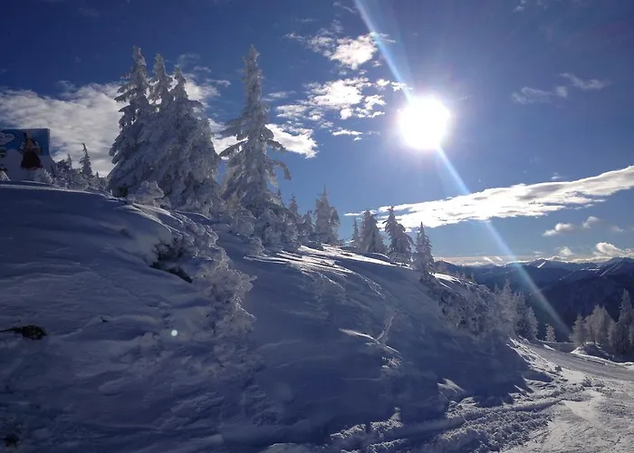 Guest house Anni Wagrain